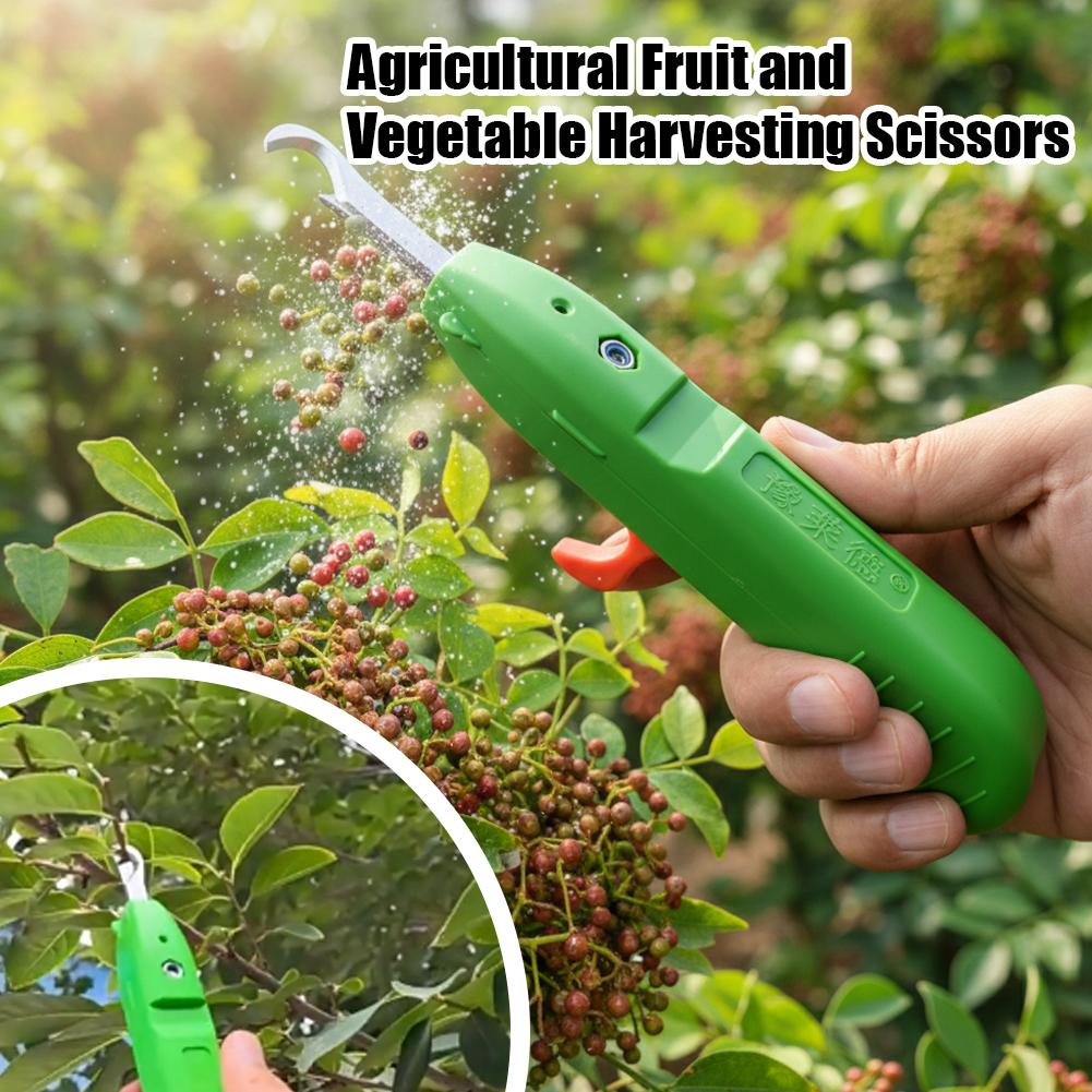 Gardening Tools Scissors - กรรไกรตัดแต่งกิ่งสำหรับทำสวน เครื่องมือเกษตร กรรไกรเก็บเกี่ยวสำหรับเก็บองุ่น ผลไม้ ดอกไม้ พริกไทย