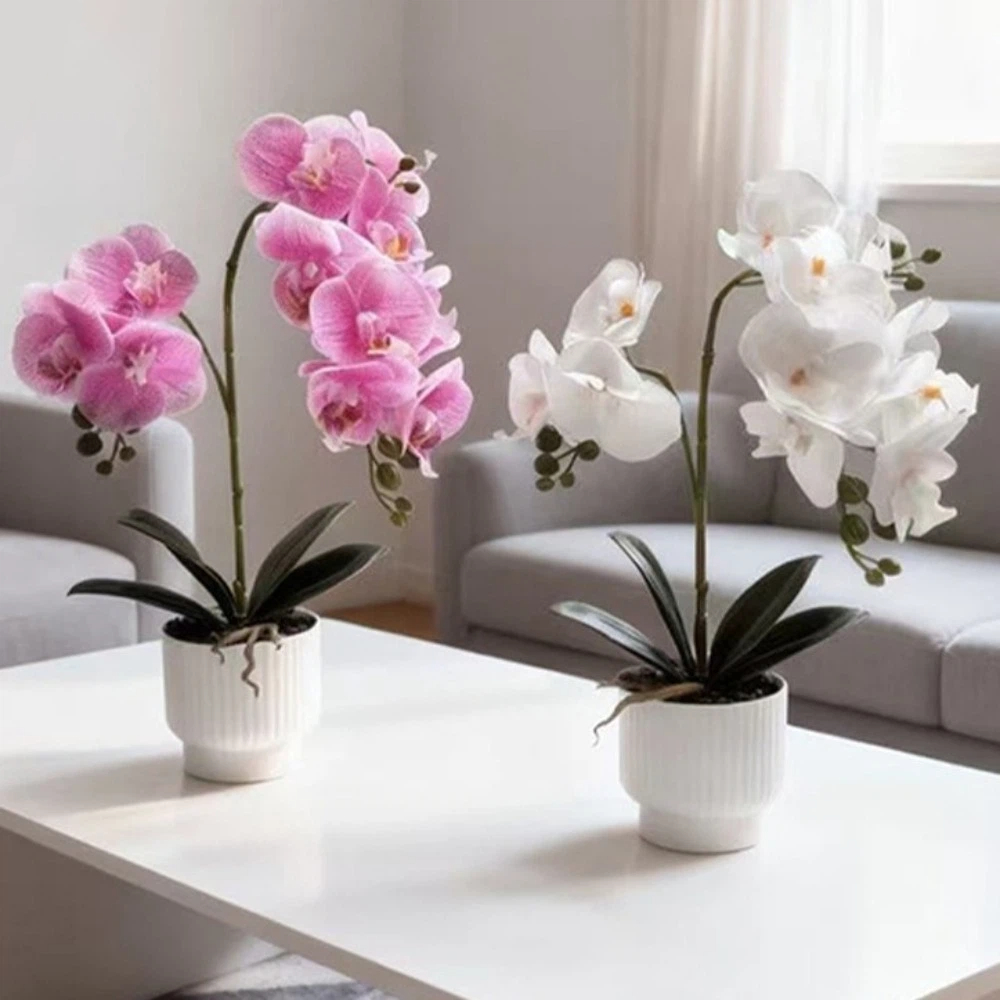 Orchid Potting Mix - กล้วยไม้ผีเสื้อจำลองแบบหลายดอก DIY กระถางดอกไม้สีขาว ต้นไม้ปลอม ดอกไม้ประดิษฐ์ กล้วยไม้ประดิษฐ์