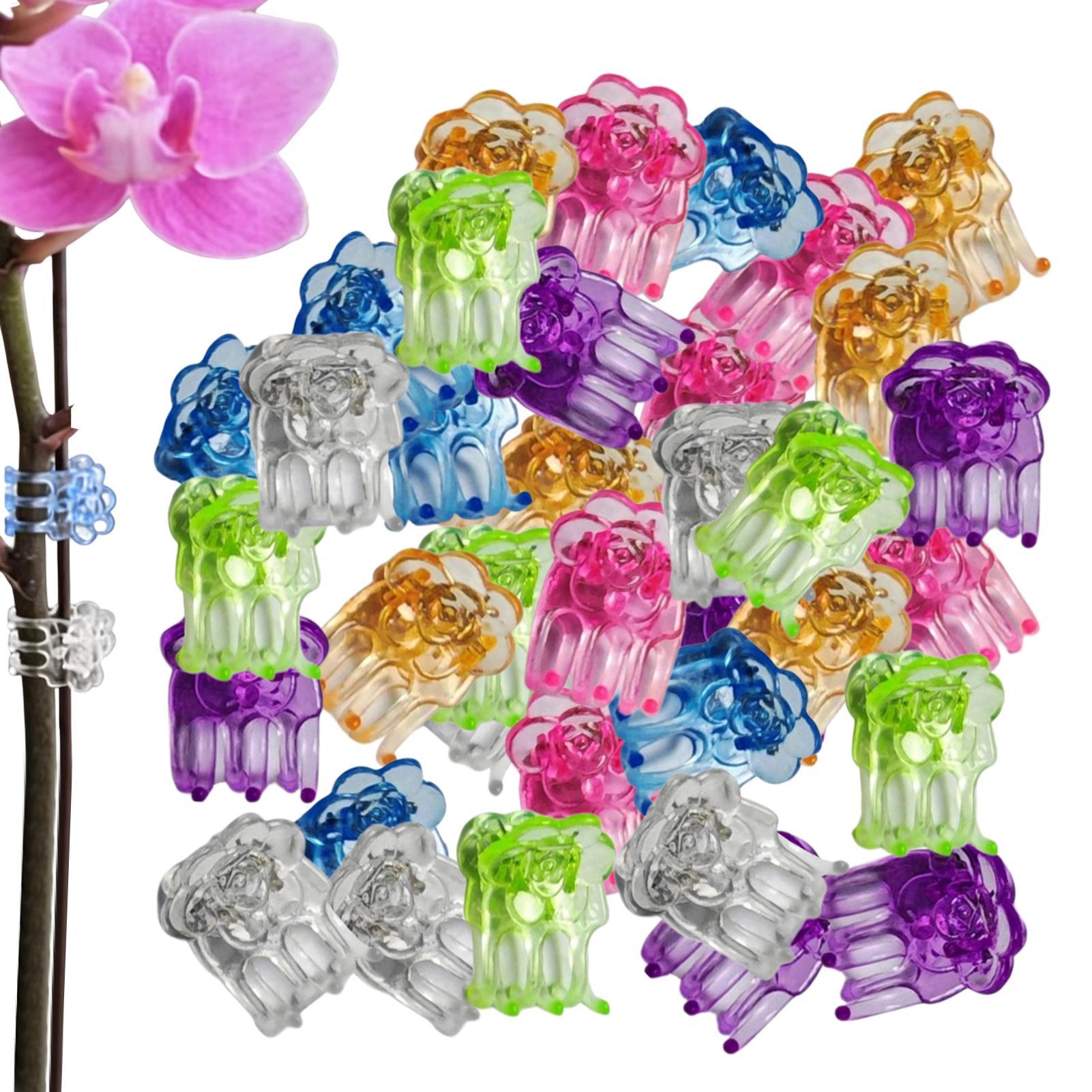 Orchid Potting Mix - คลิปหนีบกล้วยไม้ 60 ชิ้น ตัวหนีบรูปผีเสื้อสำหรับยึดต้นไม้ ใช้ในเรือนกระจก ระเบียง