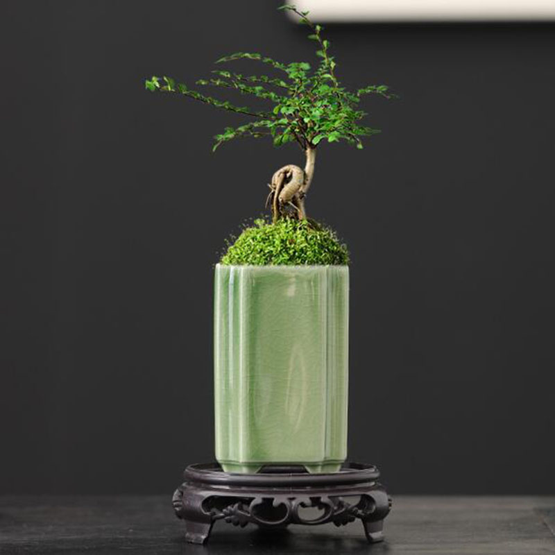 Orchid Potting Mix - Porcelain Square Celadon เคลือบกล้วยไม้กระถางดอกไม้บอนไซแจกันหม้อหัตถกรรมเครื่องประดับศิลปะ Home Garden