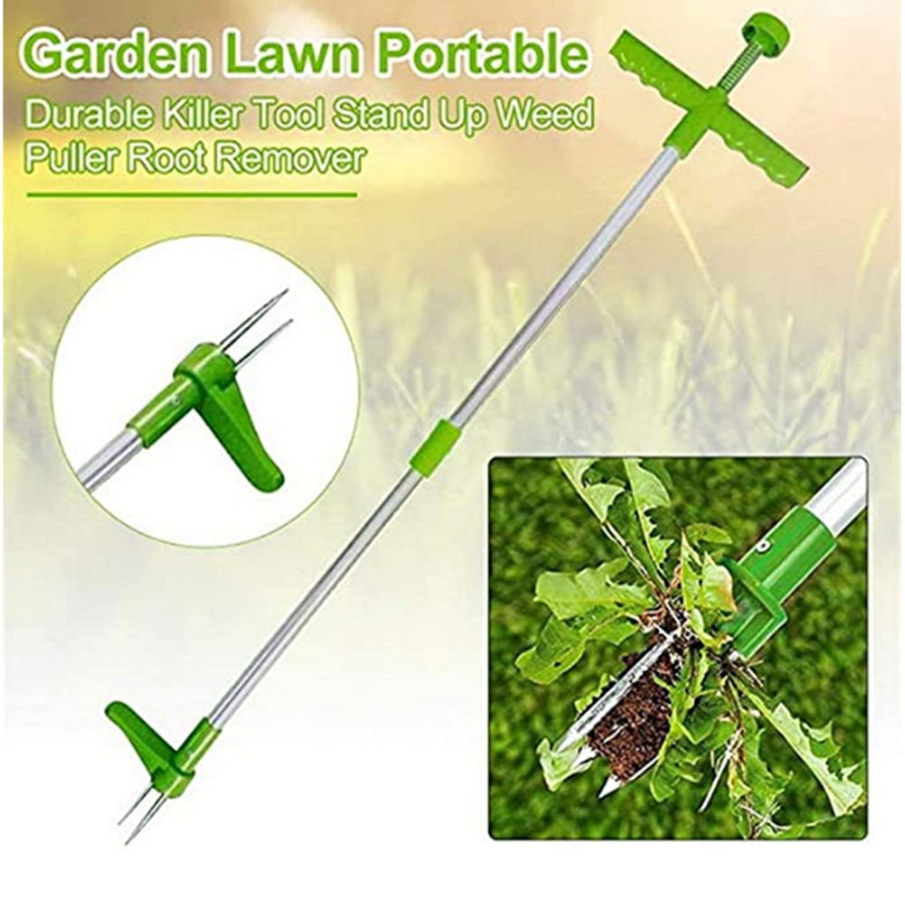 Gardening Tools To Remove Weeds - คู่มือทนทาน Killer เครื่องมือ Stand Up Weed