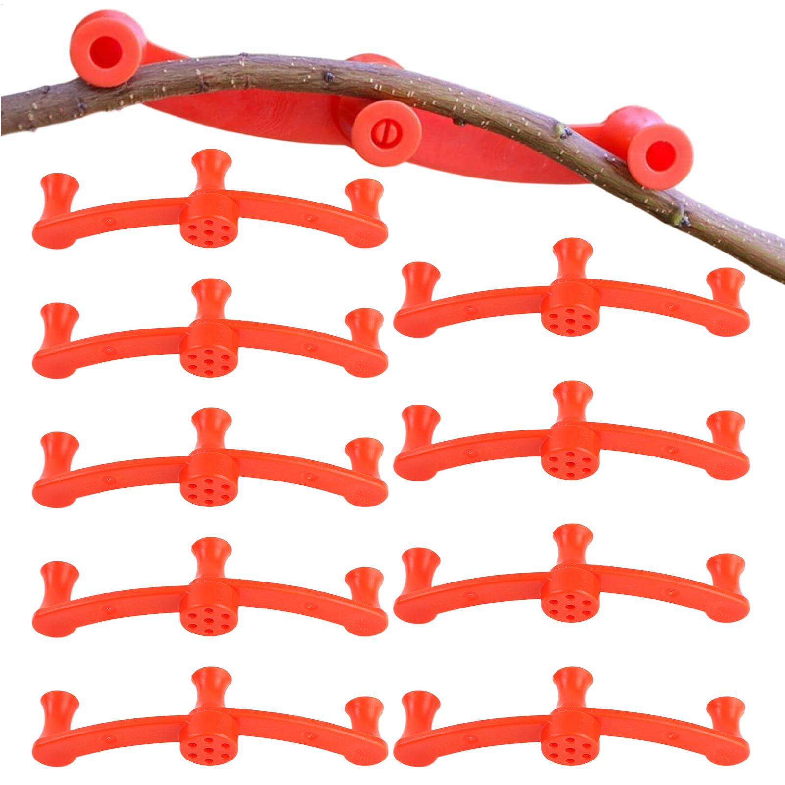 Gardening Tools Lowes - คลิปหนีบกิ่งไม้ 10 ชิ้น สำหรับฝึกแต่งกิ่ง ลดแรงกดทับ ใช้กับต้นไม้ผลไม้