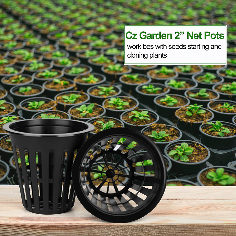 Orchid Potting Mix - 2 นิ้ว Garden Nursery Pots พืชสุทธิถ้วย