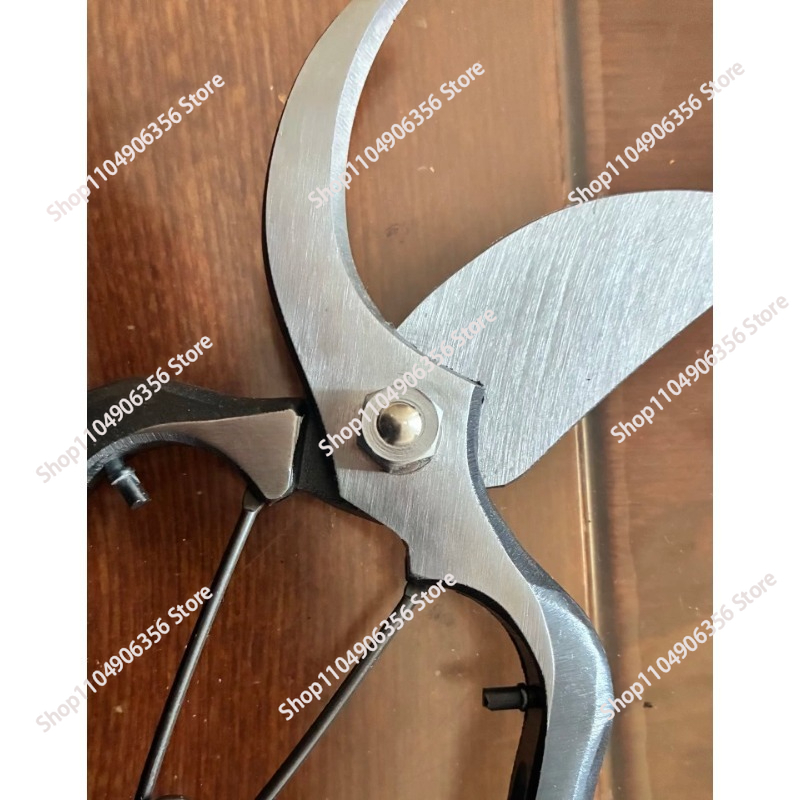 กรรไกรตัดกิ่ง 200 มม. นำเข้าจา - Gardening Tools Made In Japan บทวิจารณ์และราคา