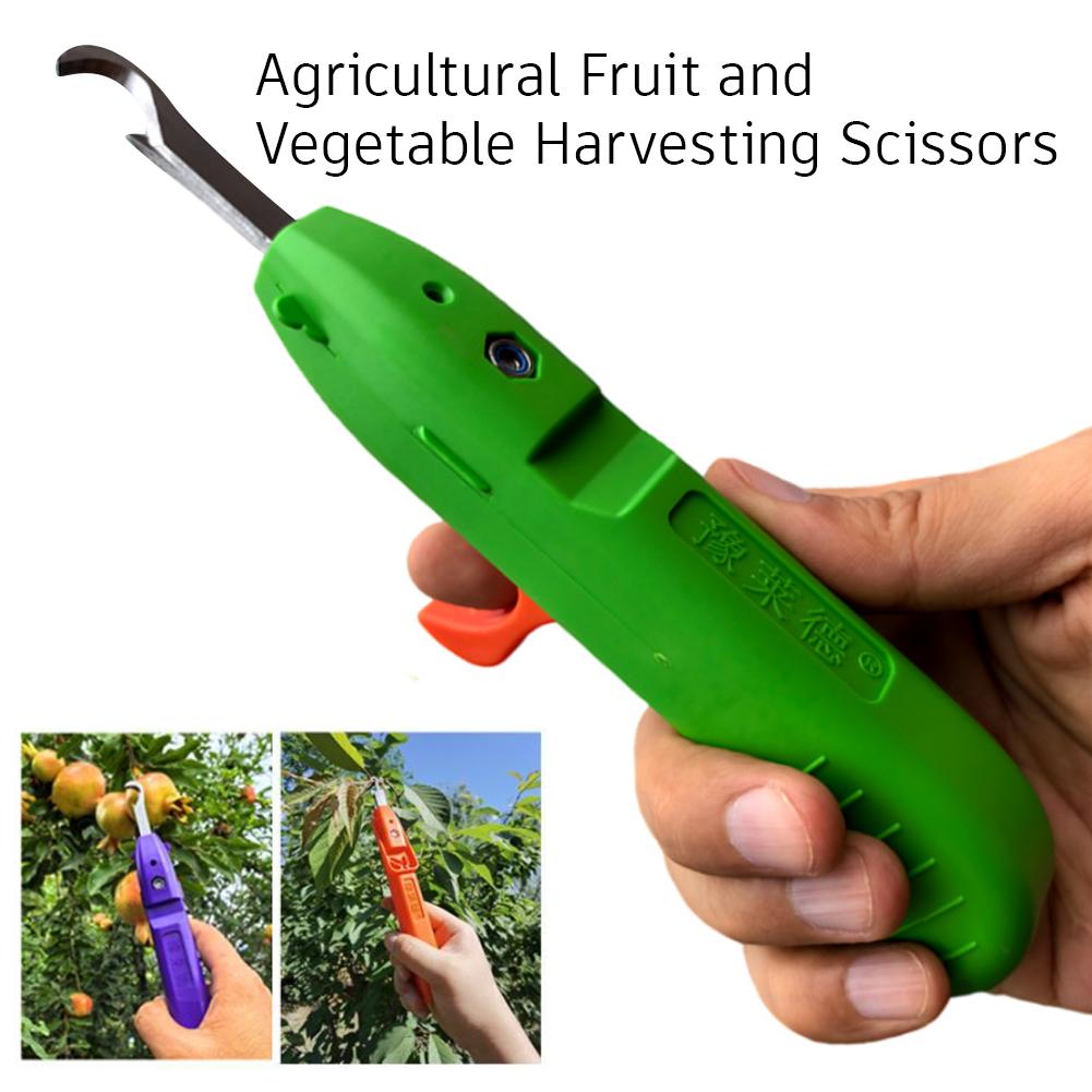 กรรไกรตัดแต่งกิ่งสำหรับทำสวน เ - Gardening Tools Scissors บทวิจารณ์และราคา