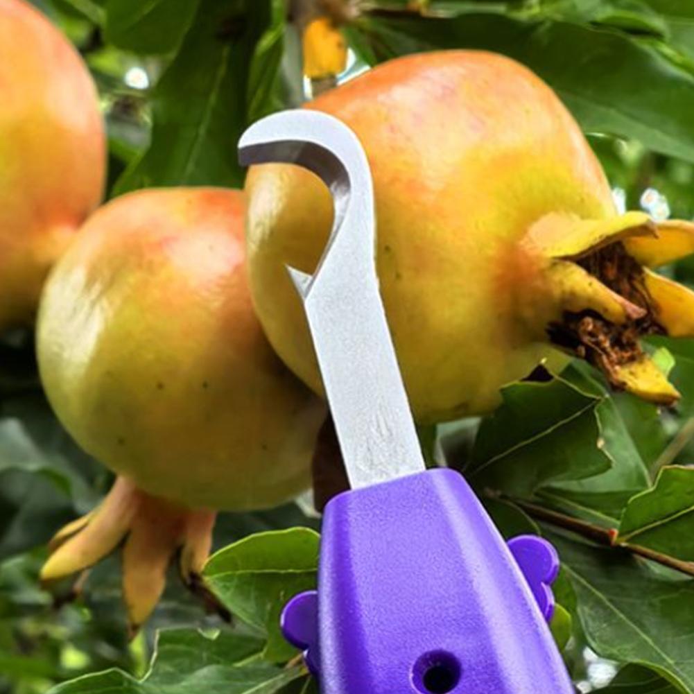 กรรไกรตัดแต่งกิ่งสำหรับทำสวน เ - Gardening Tools Scissors บทวิจารณ์และราคา