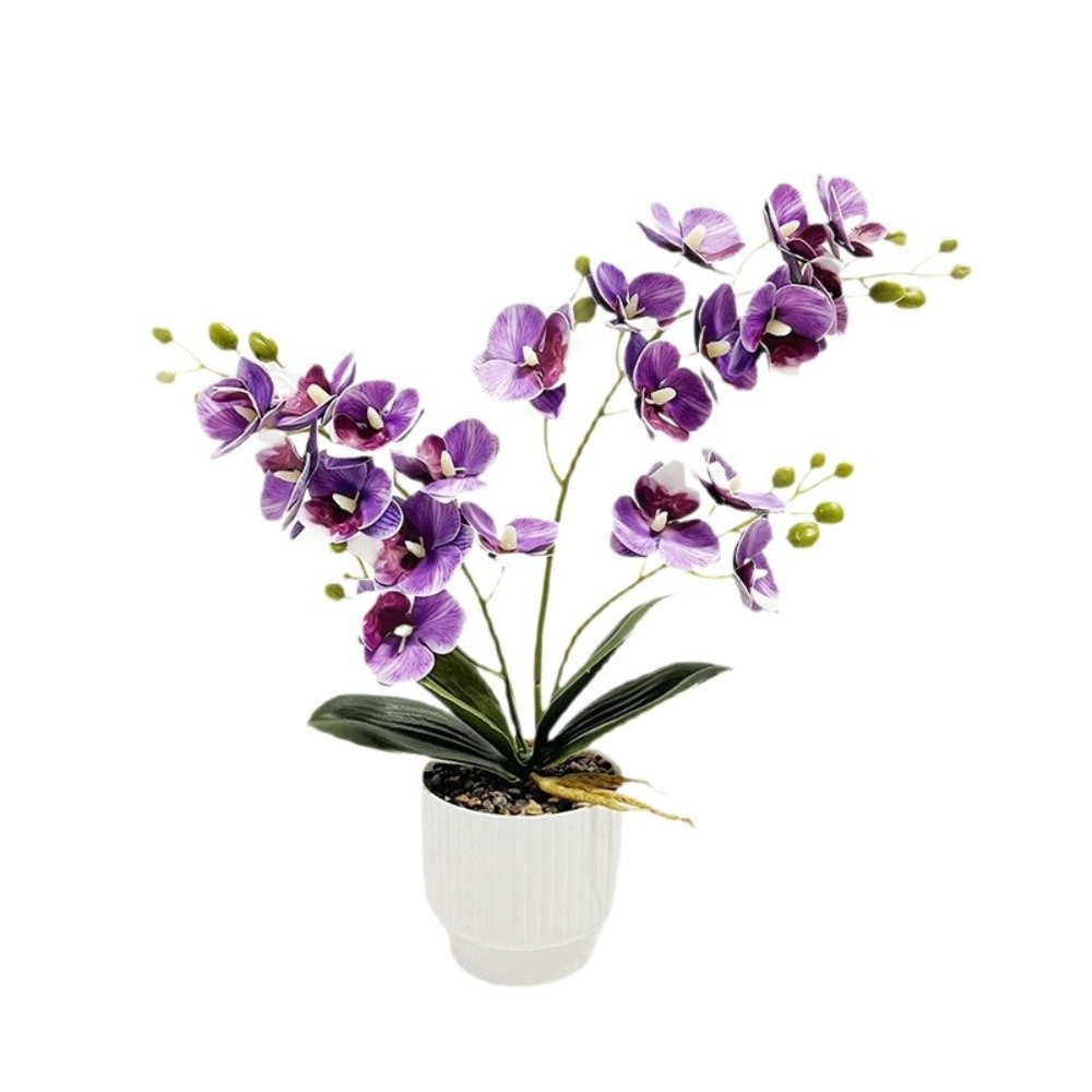 กล้วยไม้ผีเสื้อจำลองหลายดอก สี - Orchid Potting Mix บทวิจารณ์และราคา