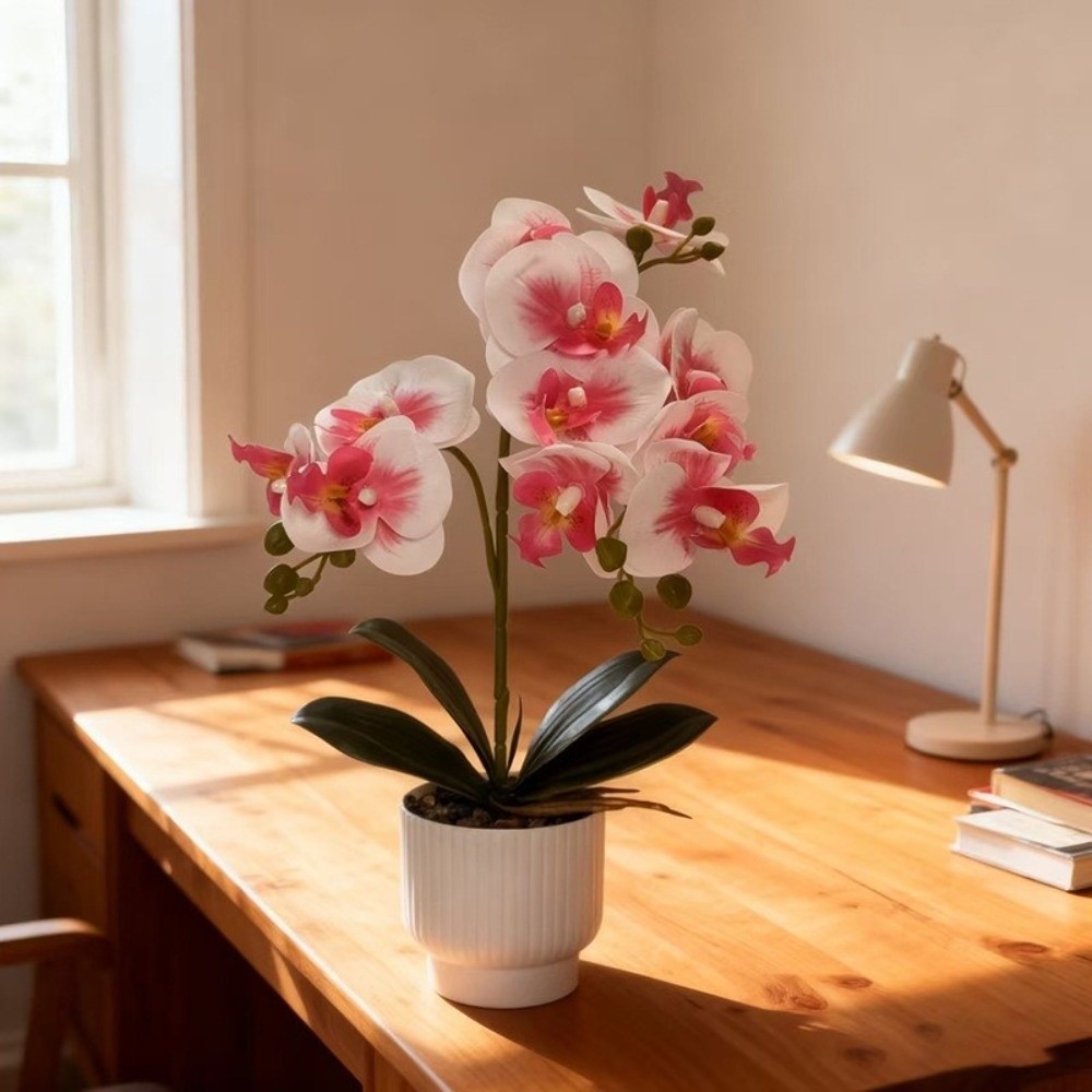 กล้วยไม้ผีเสื้อจำลองแบบหลายดอก - Orchid Potting Mix บทวิจารณ์และราคา