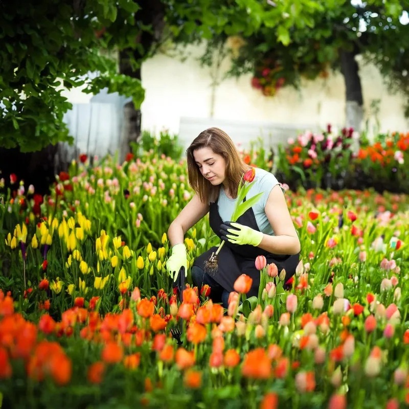 เครื่องมือทำสวน 2-in-1 แบบใช้ม - Gardening Tools To Remove Weeds บทวิจารณ์และราคา