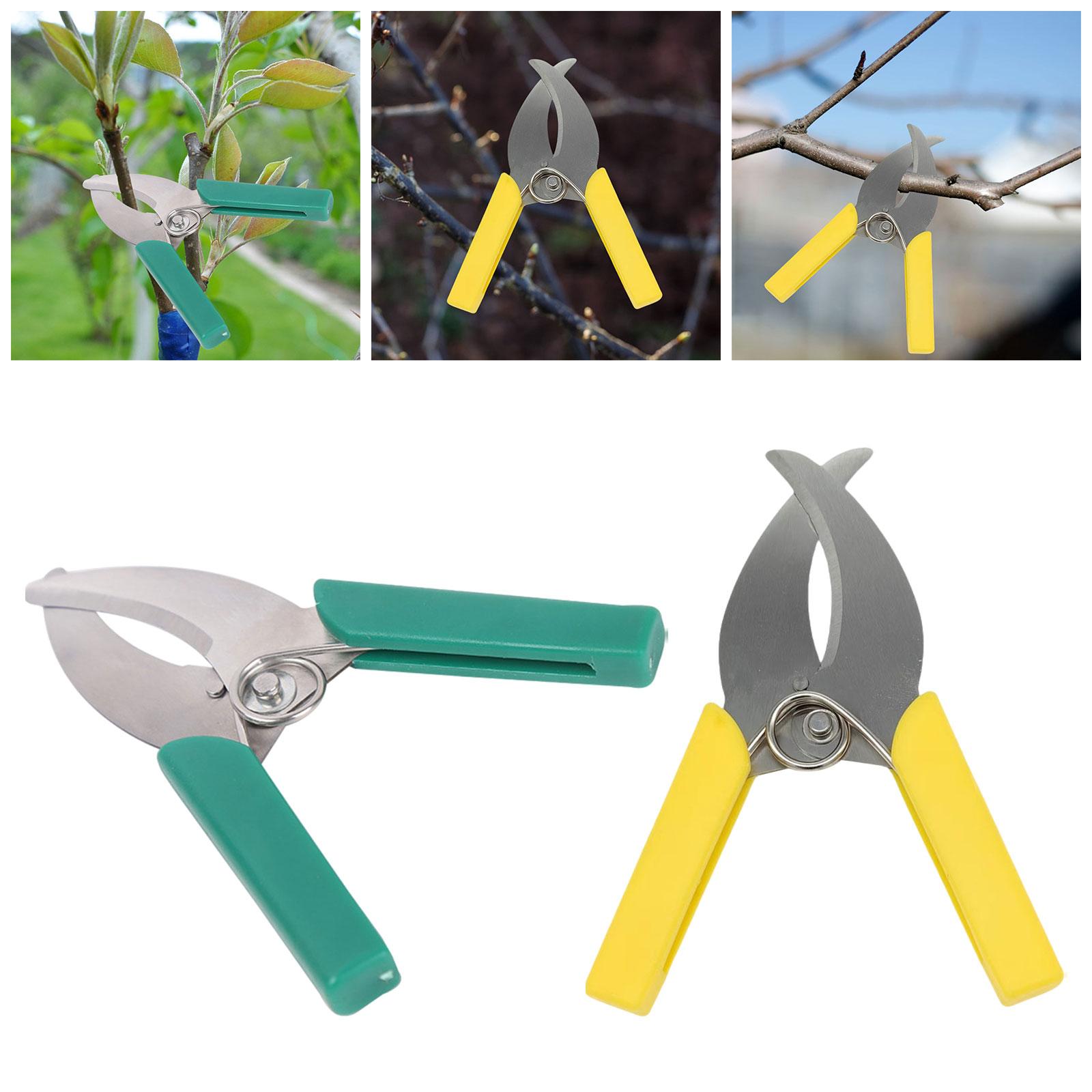 แหวน Barking เครื่องตัดกรรไกรส - Gardening Tools Scissors บทวิจารณ์และราคา