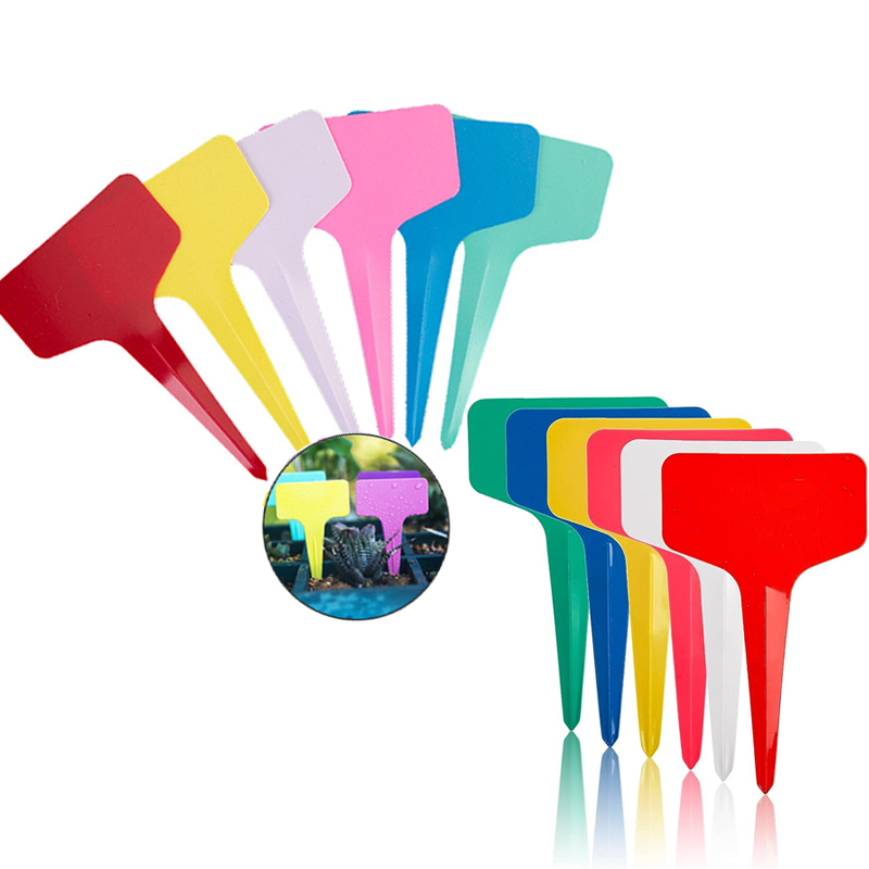 ป้ายติดต้นไม้ 50/100 ชิ้น อุปก - Gardening Tool Diy บทวิจารณ์และราคา