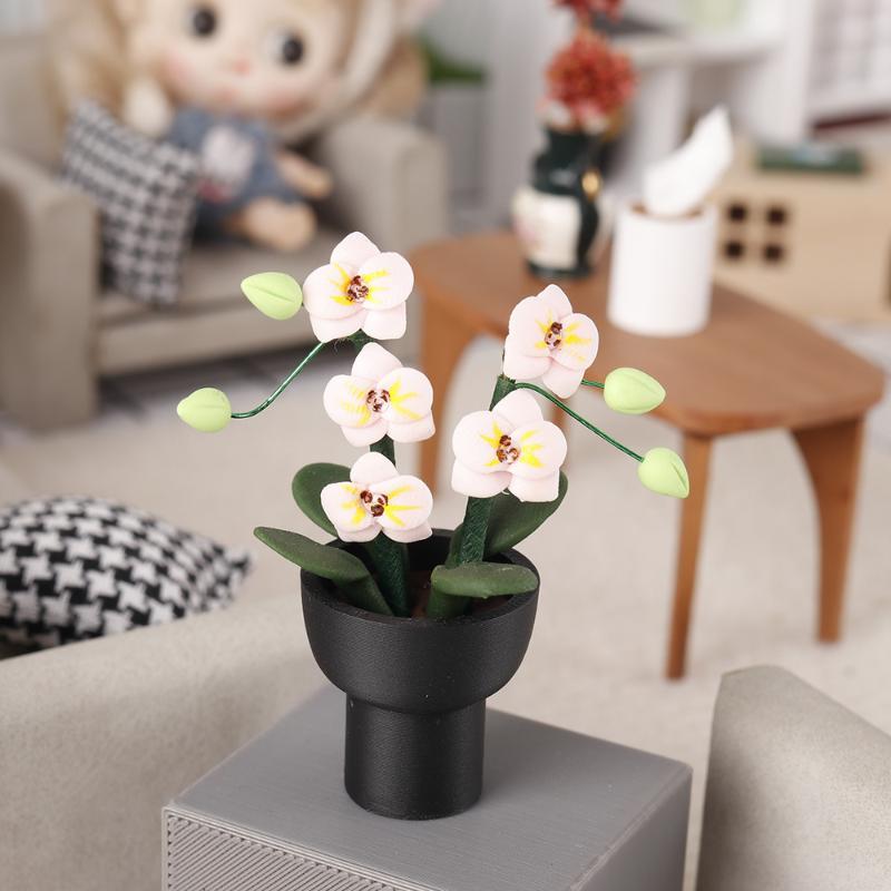 (.) ต้นกล้วยไม้ฟาแลนนอปซิสจำลอ - Orchid Potting Mix บทวิจารณ์และราคา