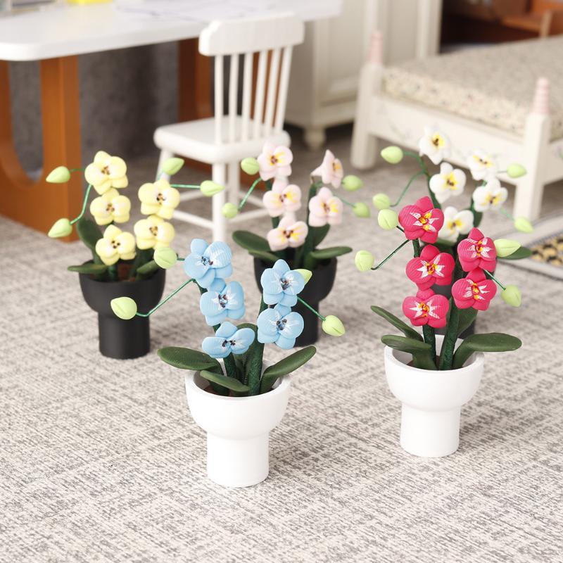 (.) ต้นกล้วยไม้ฟาแลนนอปซิสจำลอ - Orchid Potting Mix บทวิจารณ์และราคา