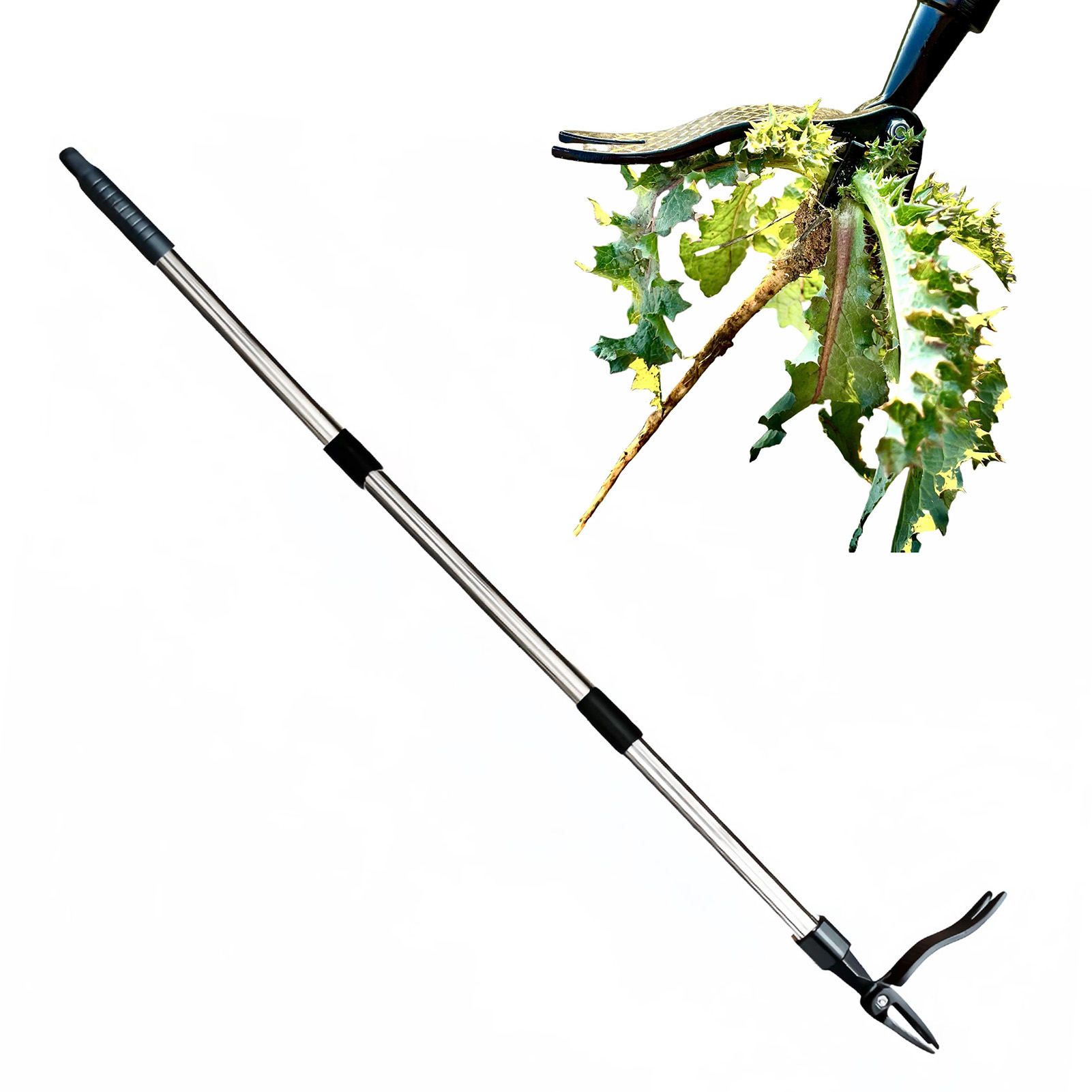4 Claw Stand Up Weed Puller St - Gardening Tools To Remove Weeds บทวิจารณ์และราคา