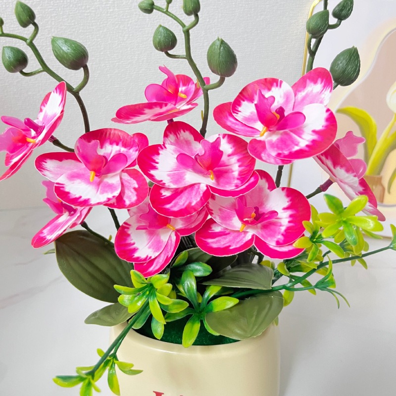 กล้วยไม้จำลองสไตล์นอร์ดิกสุดหร - Orchid Potting Mix บทวิจารณ์และราคา