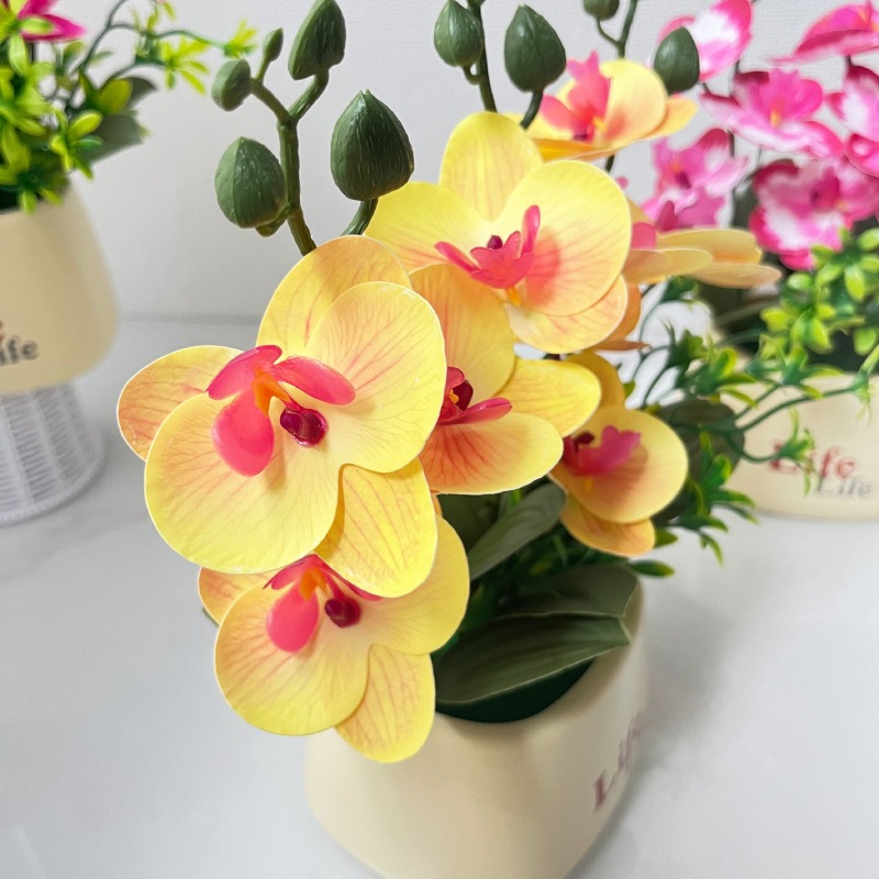 กล้วยไม้จำลองสไตล์นอร์ดิกสุดหร - Orchid Potting Mix บทวิจารณ์และราคา