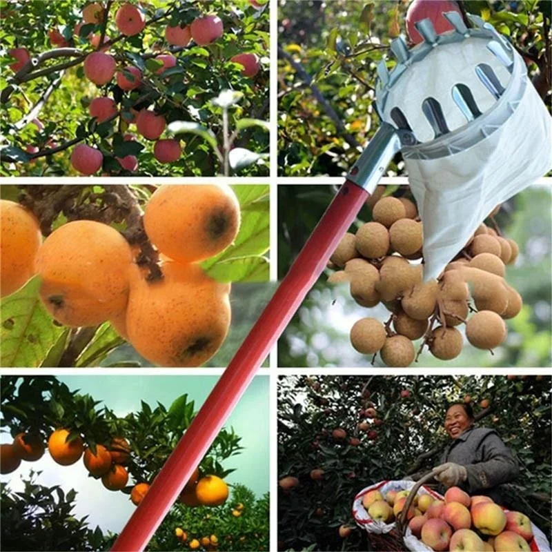 เครื่องหยิบผลไม้ในสวน, เครื่อง - Gardening Tools Scissors บทวิจารณ์และราคา