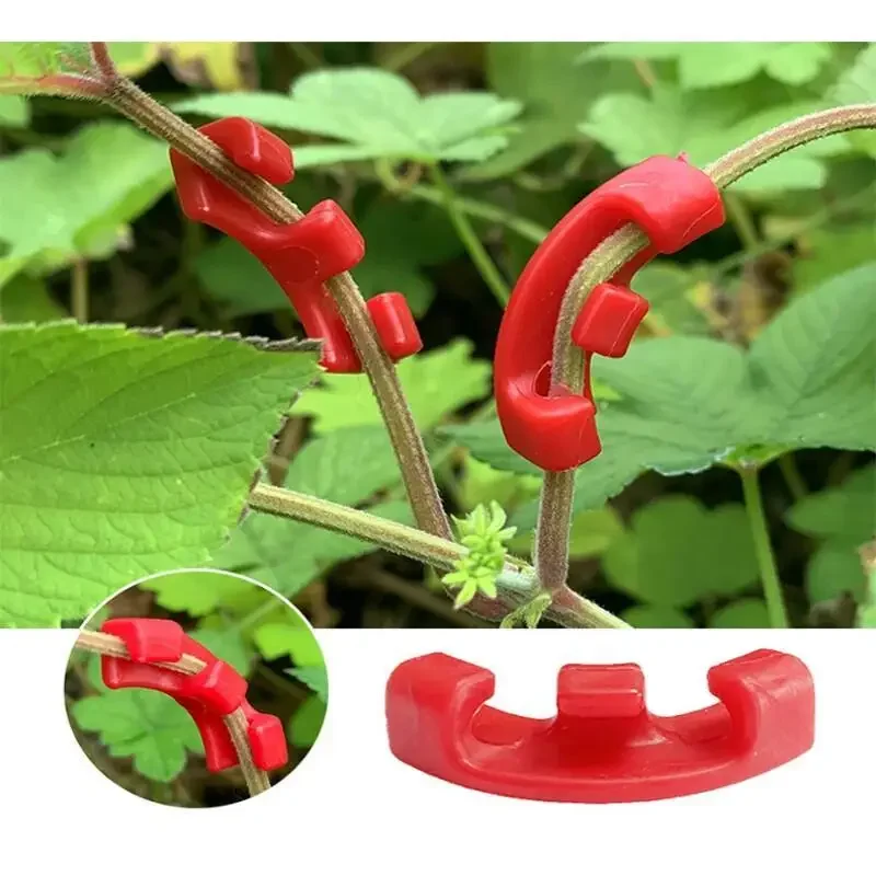 10-100 ชิ้น คลิปดัดกิ่งต้นไม้  - Gardening Tools Lowes บทวิจารณ์และราคา