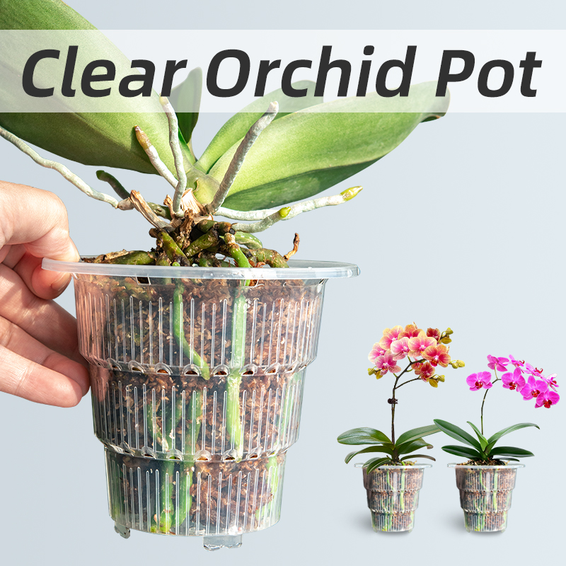 Meshpot หม้อกล้วยไม้พลาสติกใสพ - Orchid Potting Mix บทวิจารณ์และราคา