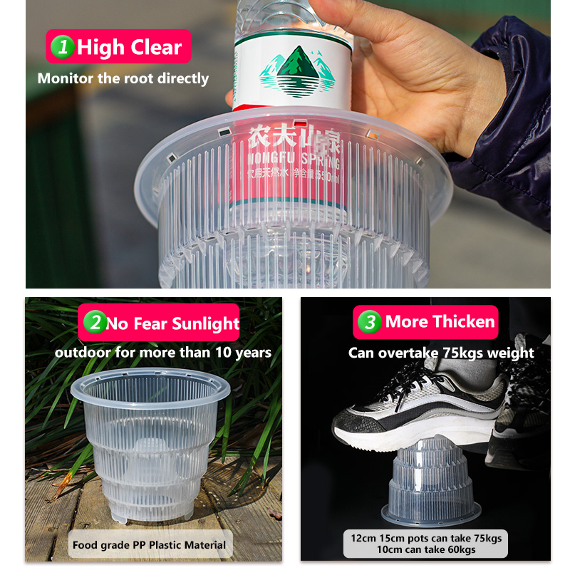 Meshpot หม้อกล้วยไม้พลาสติกใสพ - Orchid Potting Mix บทวิจารณ์และราคา