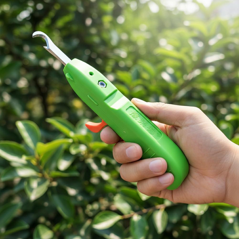 กรรไกรตัดผลไม้และผัก กรรไกรตัด - Gardening Tools Scissors บทวิจารณ์และราคา