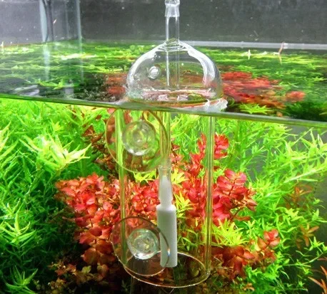VIV Do อุปกรณ์ Aquarium กระบอก - Aquaponics Fish Tank บทวิจารณ์และราคา