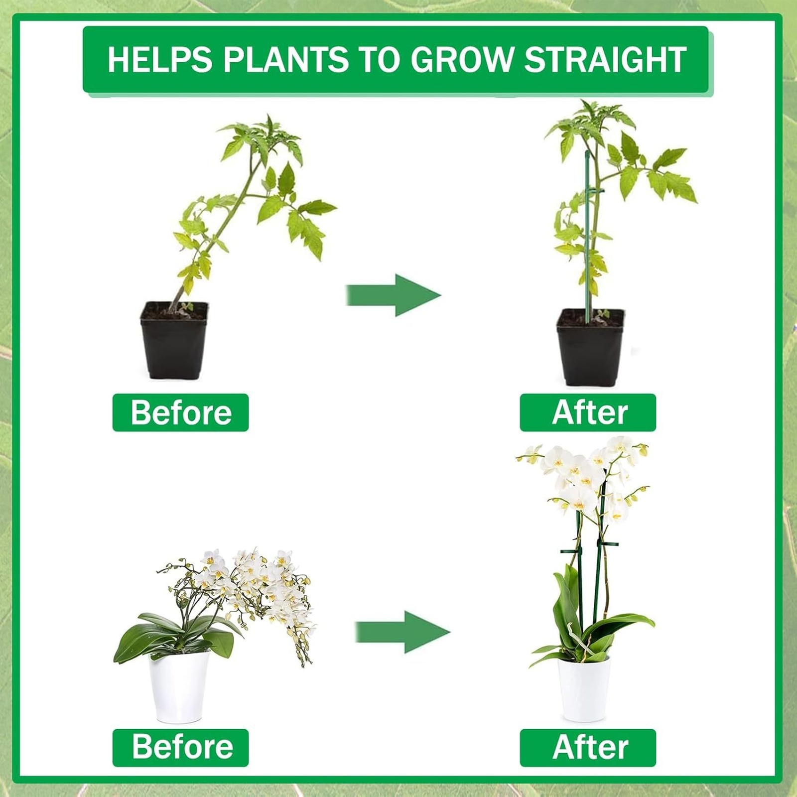 เสาค้ำต้นไม้แบบเดี่ยว สำหรับพุ - Orchid Potting Mix บทวิจารณ์และราคา