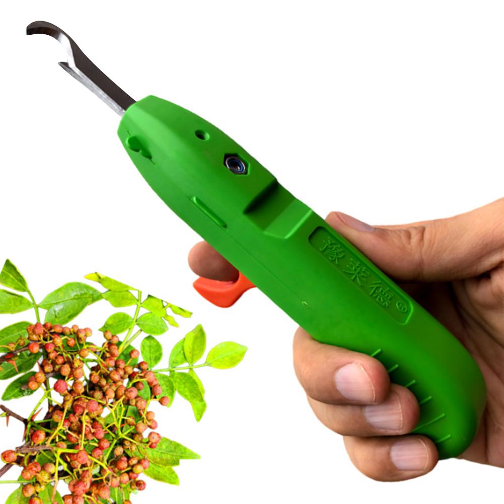 กรรไกรตัดแต่งกิ่งขนาดเล็กแบบพก - Gardening Tools Scissors บทวิจารณ์และราคา