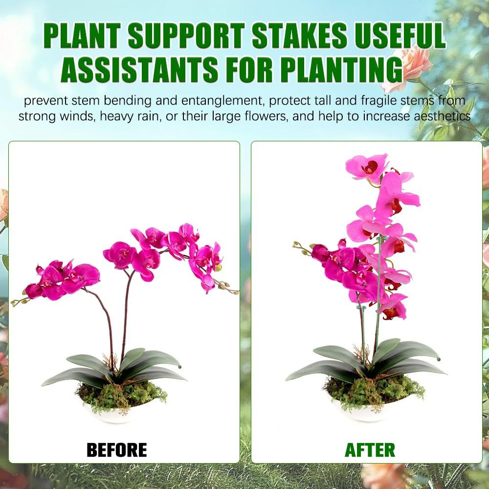 ขาตั้งพยุงต้นไม้ 5/10 ชิ้น สำห - Orchid Potting Mix บทวิจารณ์และราคา