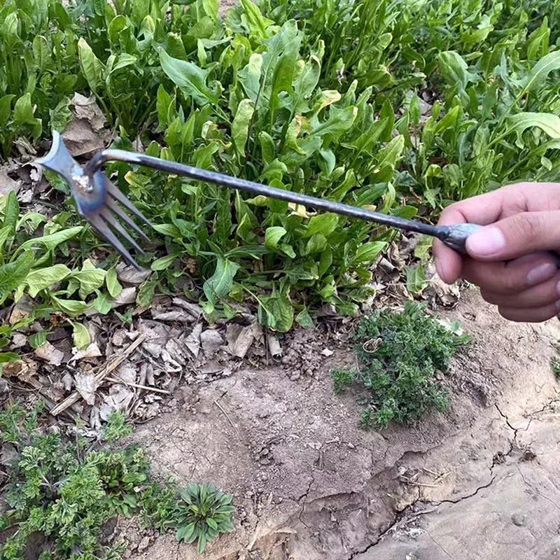 เครื่องกำจัดวัชพืชในสวน, เครื่ - Gardening Tools To Remove Weeds บทวิจารณ์และราคา