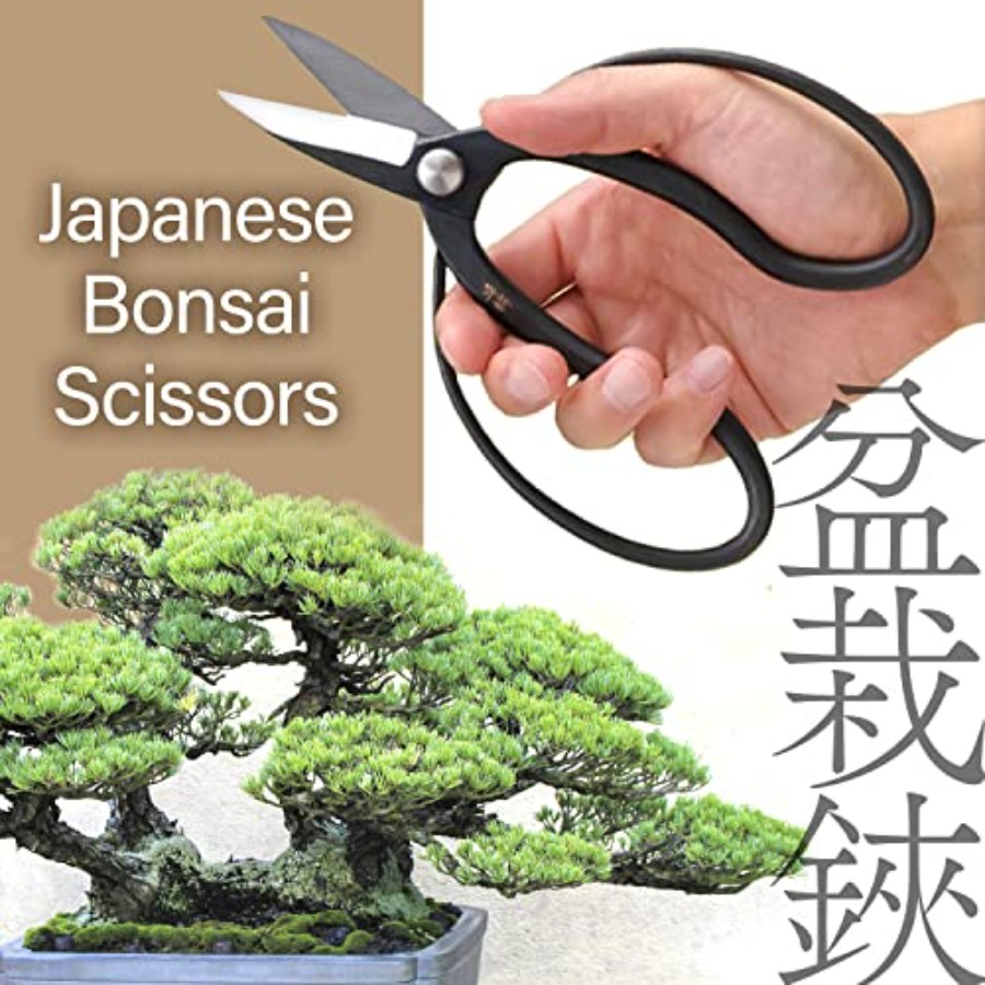 กรรไกรตัดกิ่งบอนไซญี่ปุ่น Suir - Gardening Tools Made In Japan บทวิจารณ์และราคา
