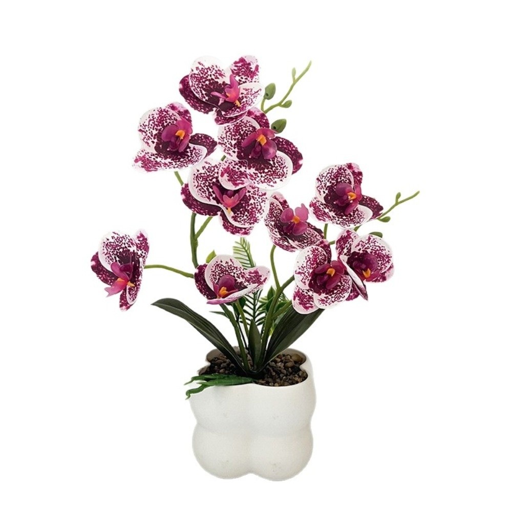 กล้วยไม้ผีเสื้อจำลองแบบหลายดอก - Orchid Potting Mix บทวิจารณ์และราคา