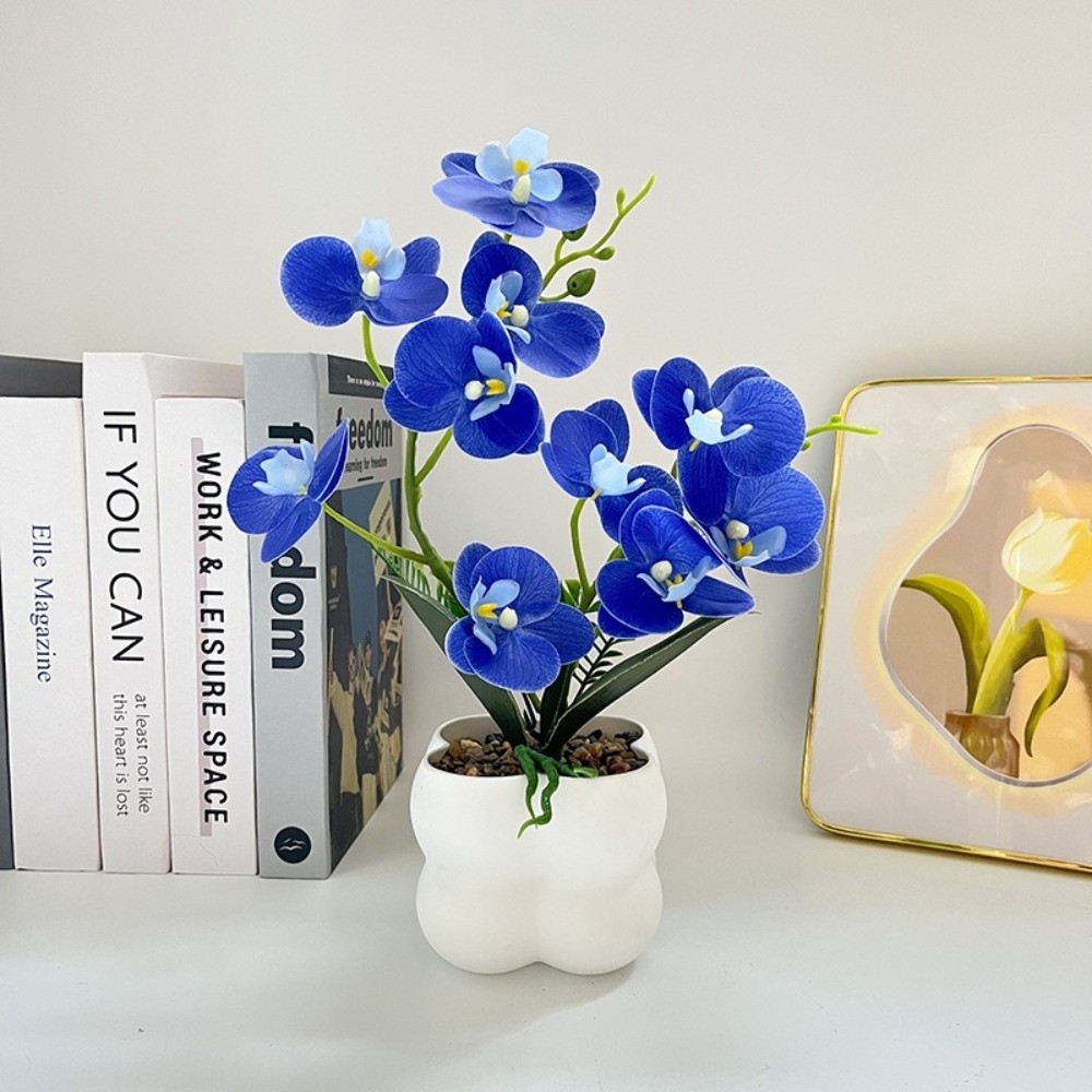 กล้วยไม้ผีเสื้อจำลองแบบหลายดอก - Orchid Potting Mix บทวิจารณ์และราคา