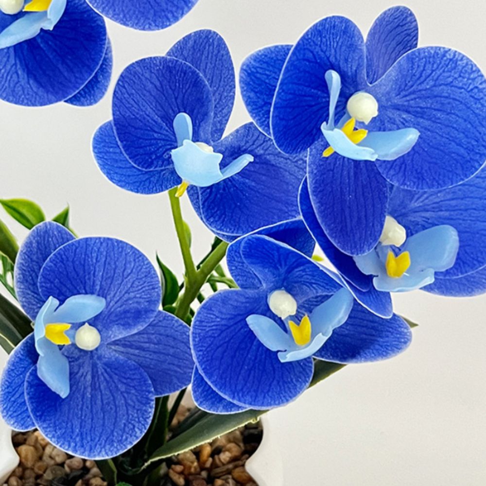 กล้วยไม้ผีเสื้อจำลองแบบหลายดอก - Orchid Potting Mix บทวิจารณ์และราคา