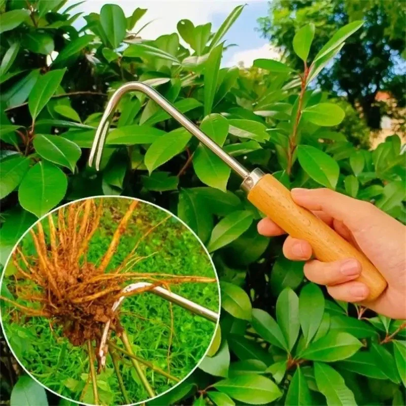 สแตนเลสสวน Weeder คู่มือการกํา - Gardening Tools To Remove Weeds บทวิจารณ์และราคา
