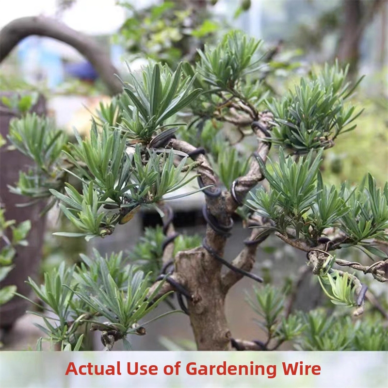 ลวดบอนไซอะลูมิเนียมขนาด 1.5 มม - Gardening Tool Diy บทวิจารณ์และราคา