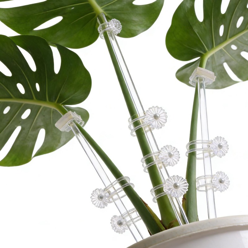 เสาค้ำดอกไม้แบบใส ใช้ซ้ำได้ ทำ - Orchid Potting Mix บทวิจารณ์และราคา