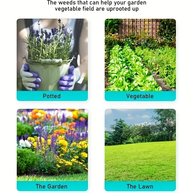 สีดํา Weeding หัวเปลี่ยนสวน Cl - Gardening Tools To Remove Weeds บทวิจารณ์และราคา