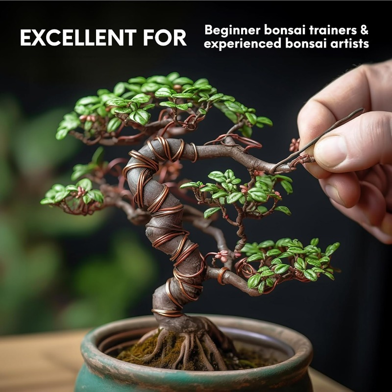 ชุดลวดฝึกบอนไซ 5 เมตร สำหรับพย - Gardening Tool Diy บทวิจารณ์และราคา