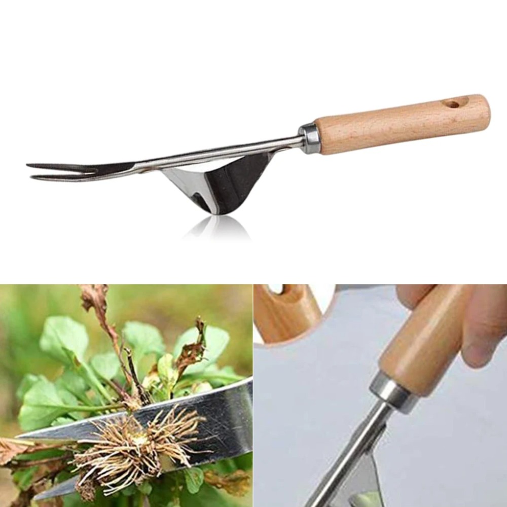 เครื่องกำจัดวัชพืชในสวนสแตนเลส - Gardening Tools To Remove Weeds บทวิจารณ์และราคา