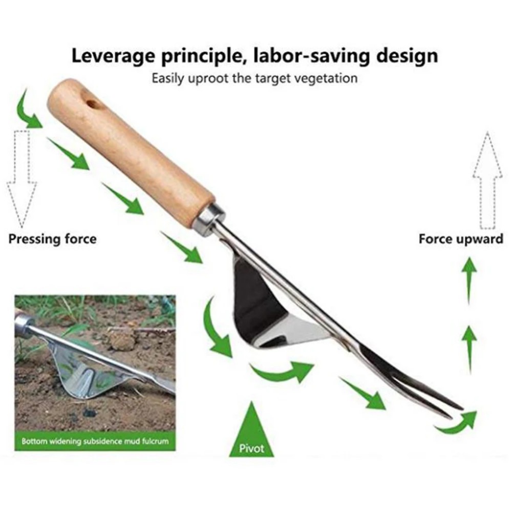 เครื่องกำจัดวัชพืชในสวนสแตนเลส - Gardening Tools To Remove Weeds บทวิจารณ์และราคา