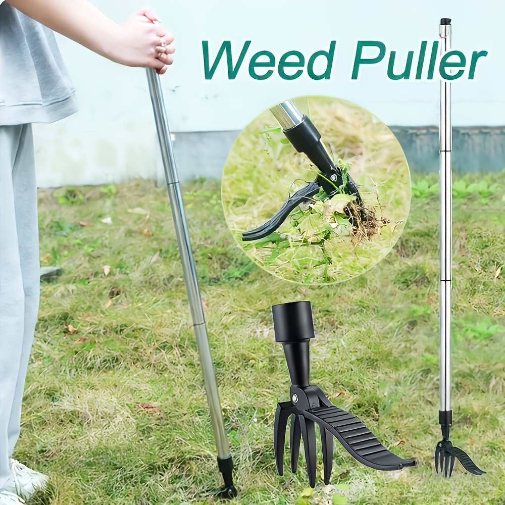 เครื่องกำจัดวัชพืชแนวตั้งแบบโล - Gardening Tools To Remove Weeds บทวิจารณ์และราคา