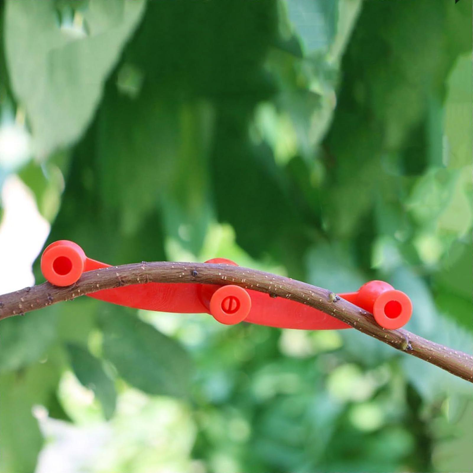 คลิปหนีบกิ่งไม้ 10 ชิ้น สำหรับ - Gardening Tools Lowes บทวิจารณ์และราคา