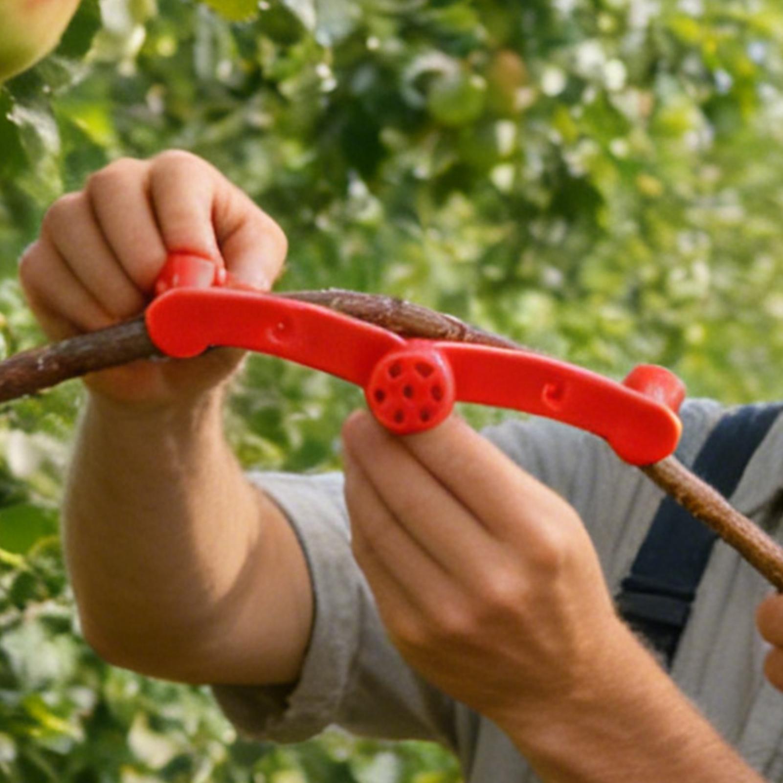 คลิปหนีบกิ่งไม้ 10 ชิ้น สำหรับ - Gardening Tools Lowes บทวิจารณ์และราคา
