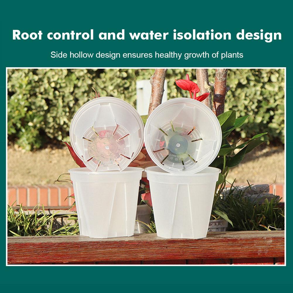 พลาสติกโปร่งใสหม้อ Root Contro - Orchid Potting Mix บทวิจารณ์และราคา