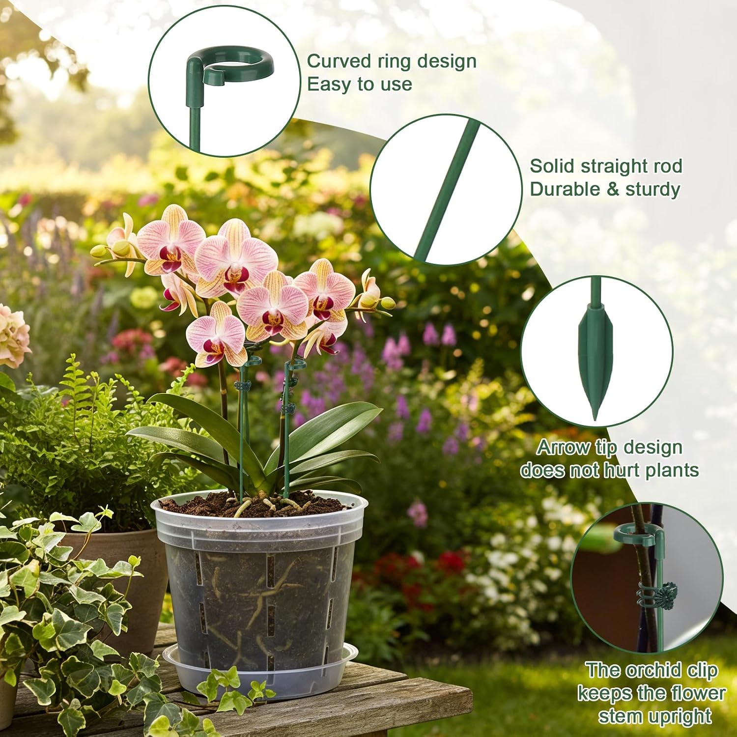 เสาค้ำต้นไม้ 5/10 ชิ้น สำหรับย - Orchid Potting Mix บทวิจารณ์และราคา