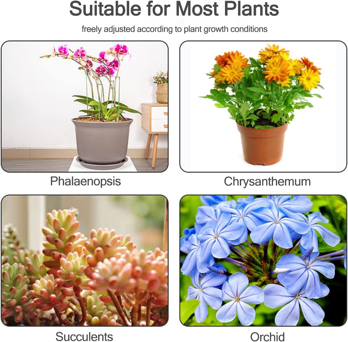 เสาค้ำต้นไม้ 5/10 ชิ้น สำหรับย - Orchid Potting Mix บทวิจารณ์และราคา