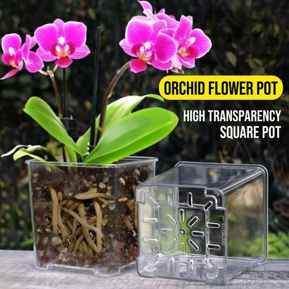ชุด 5 ชิ้น/ชุด กระถางกล้วยไม้พ - Orchid Potting Mix บทวิจารณ์และราคา