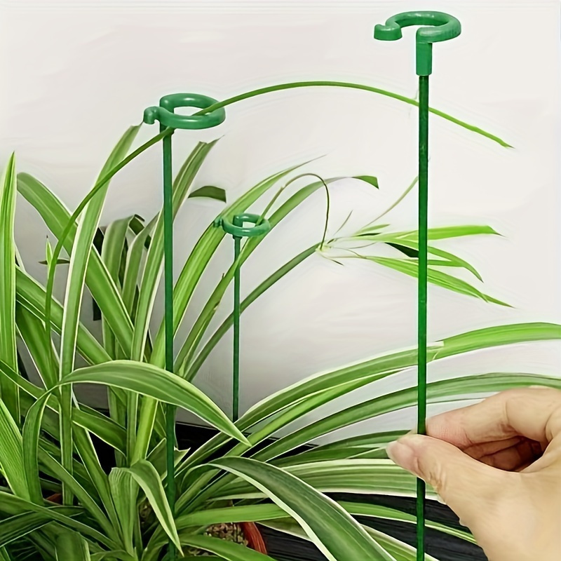 เสาค้ำต้นไม้พลาสติกสีเขียว 6 ช - Orchid Potting Mix บทวิจารณ์และราคา