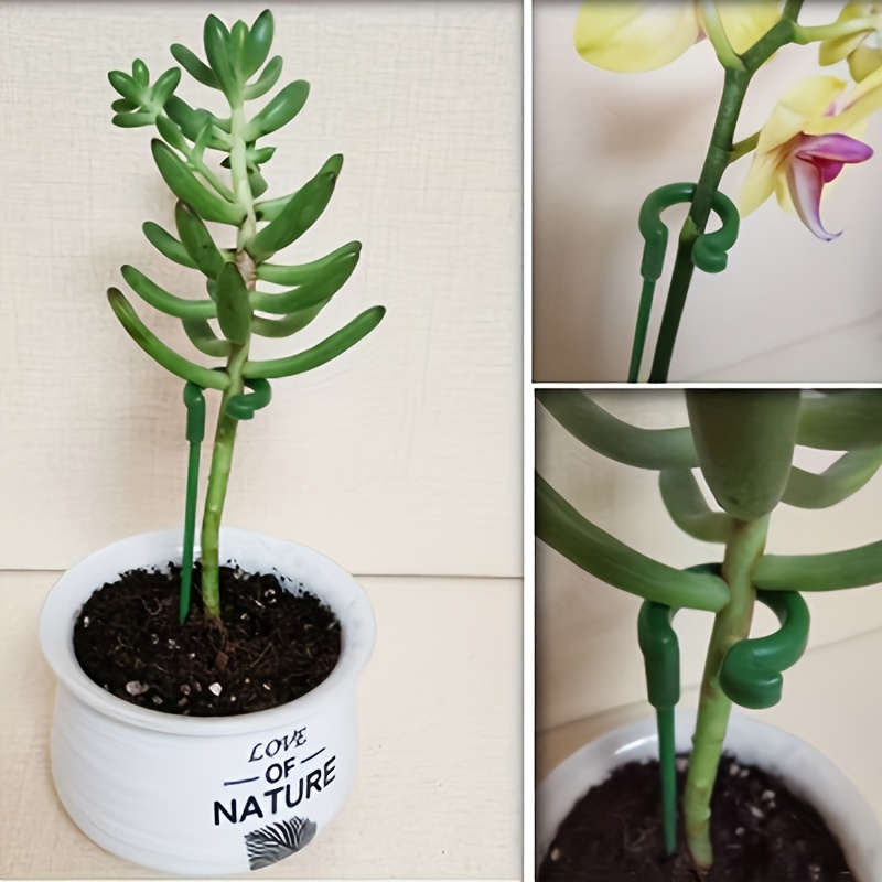 เสาค้ำต้นไม้พลาสติกสีเขียว 6 ช - Orchid Potting Mix บทวิจารณ์และราคา